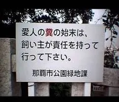 探偵 福岡|篠栗町での浮気調査、西区での結婚調査