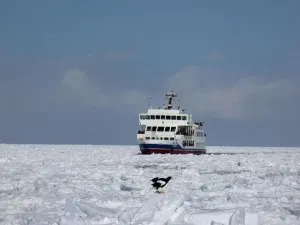 探偵 福岡｜浮気調査、残暑ゆえの気分転換投稿