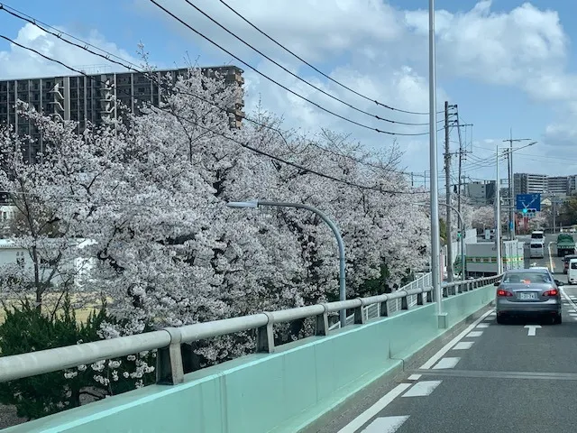 探偵 福岡｜浮気調査報告書に関して、昔の投稿から・・・