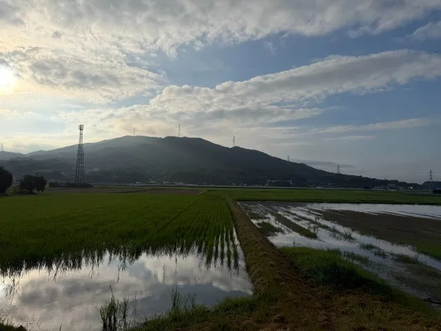 探偵 福岡|早朝の行動調査、初見一発勝負のような・・・・